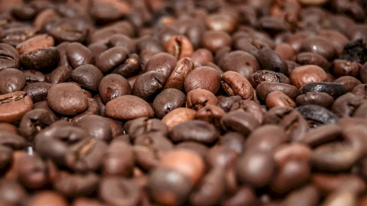 Exportação mundial de café sobe 14,89porcento em agosto, diz OIC