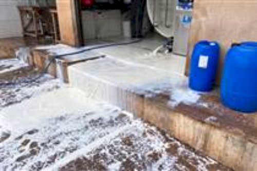 PR: sem energia, produtor descarta 5 mil litros de leite no interior de Marechal Rondon