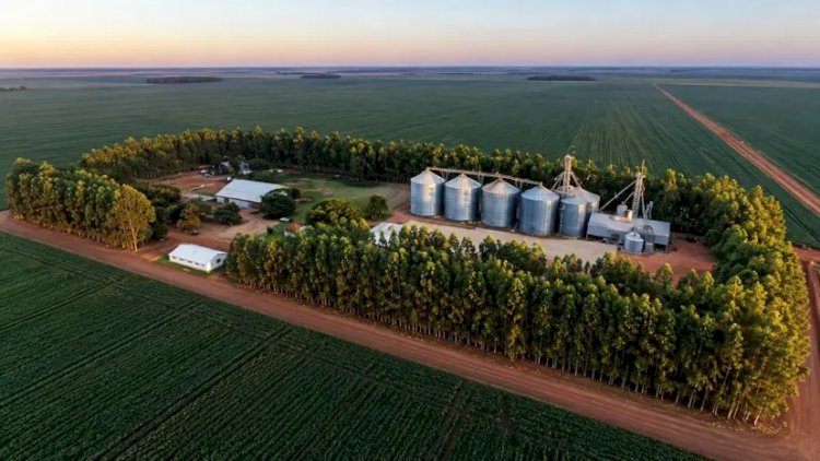 Sapezal ultrapassa Sorriso e vira potência agrícola nº 1 do Brasil, mas armazenagem ainda é desafio
