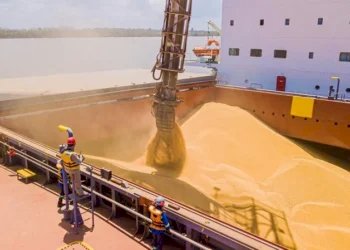 Suspeita de fraude na origem da soja faz Índia rejeitar cargas e provoca descontos de até US$ 180 por tonelada