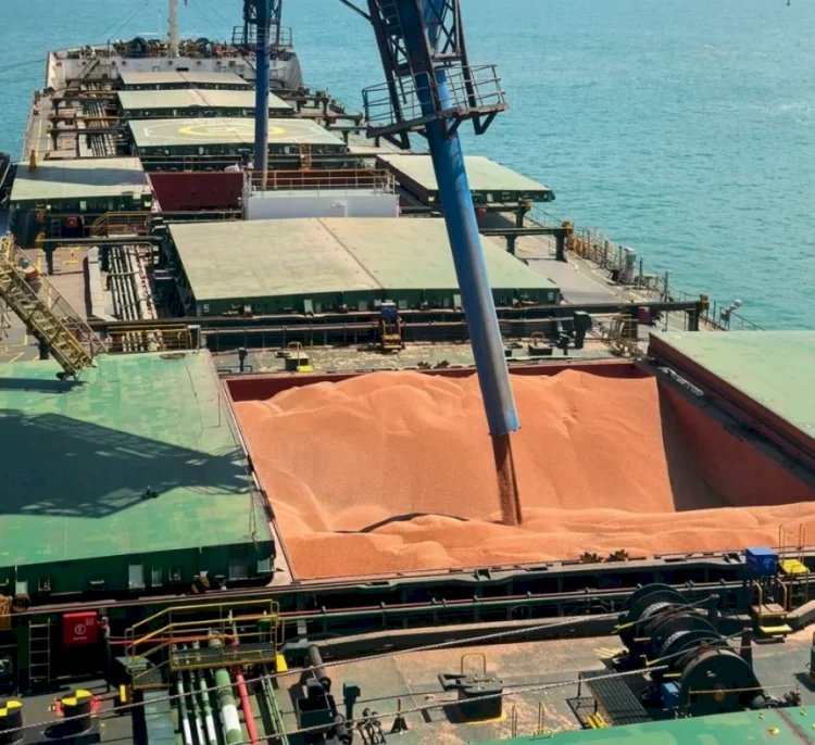 Sorgo produzido no Tocantins ganha rota de exportação para China e África pela Ferrovia Norte-Sul